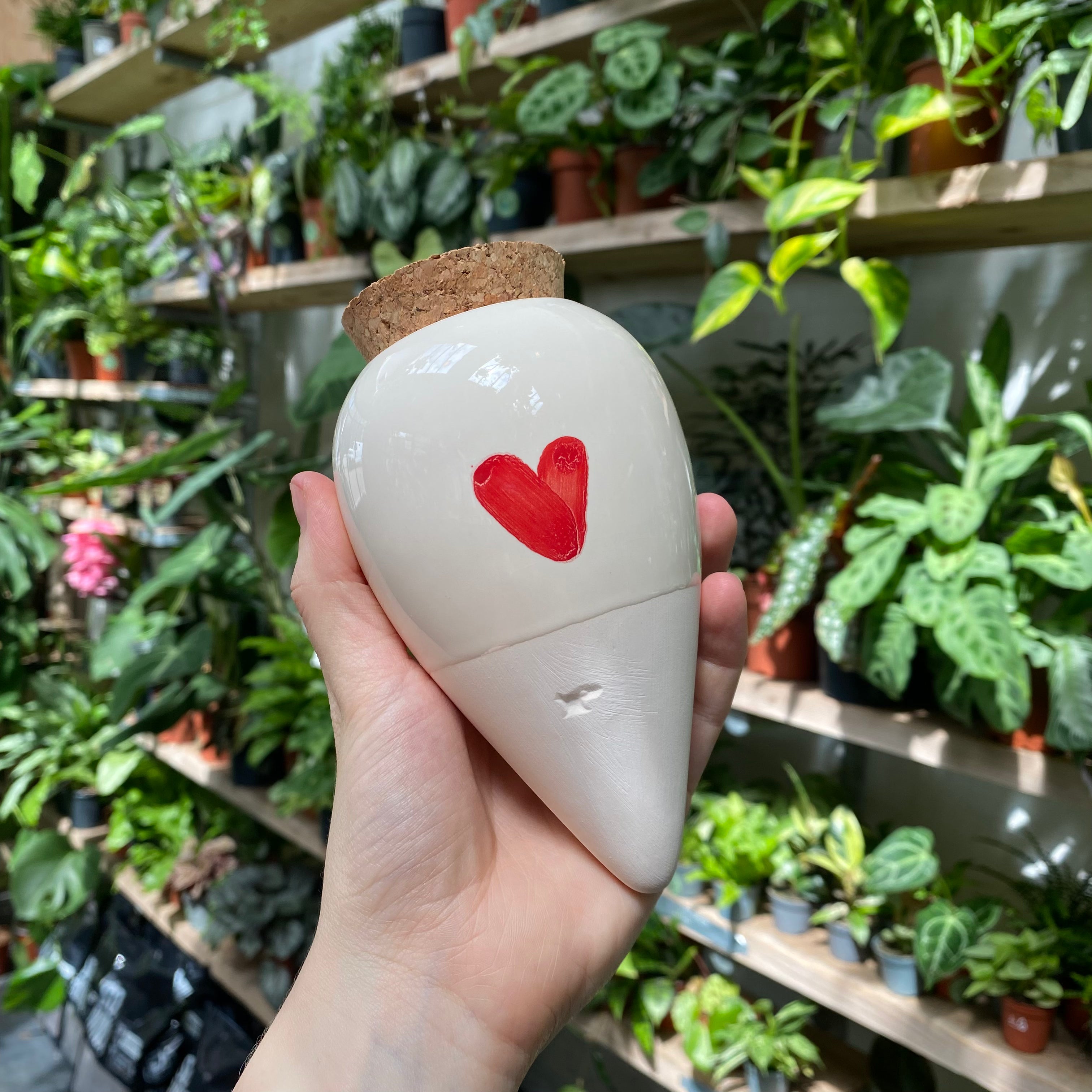 Olla - Self Watering System
