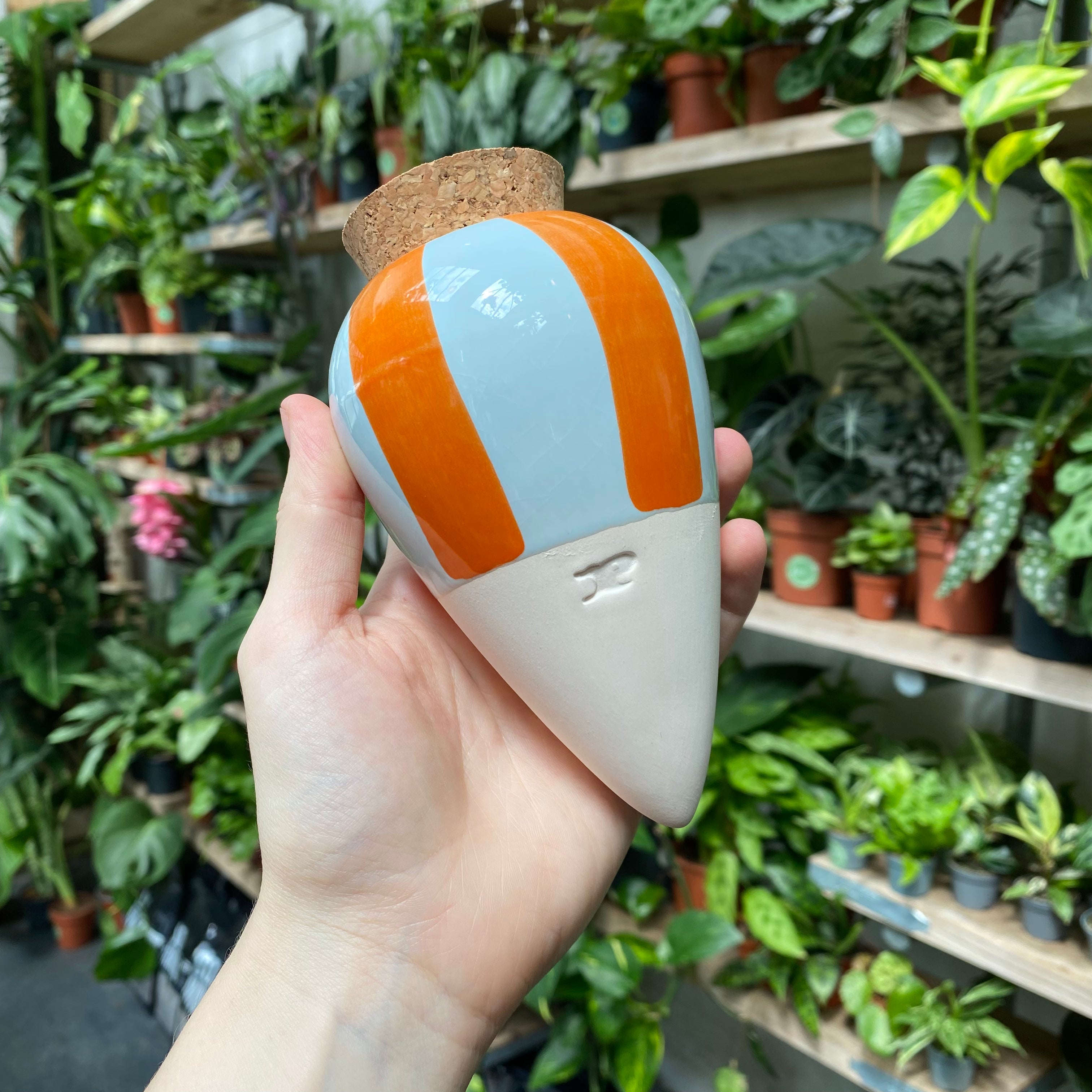 Olla - Self Watering System