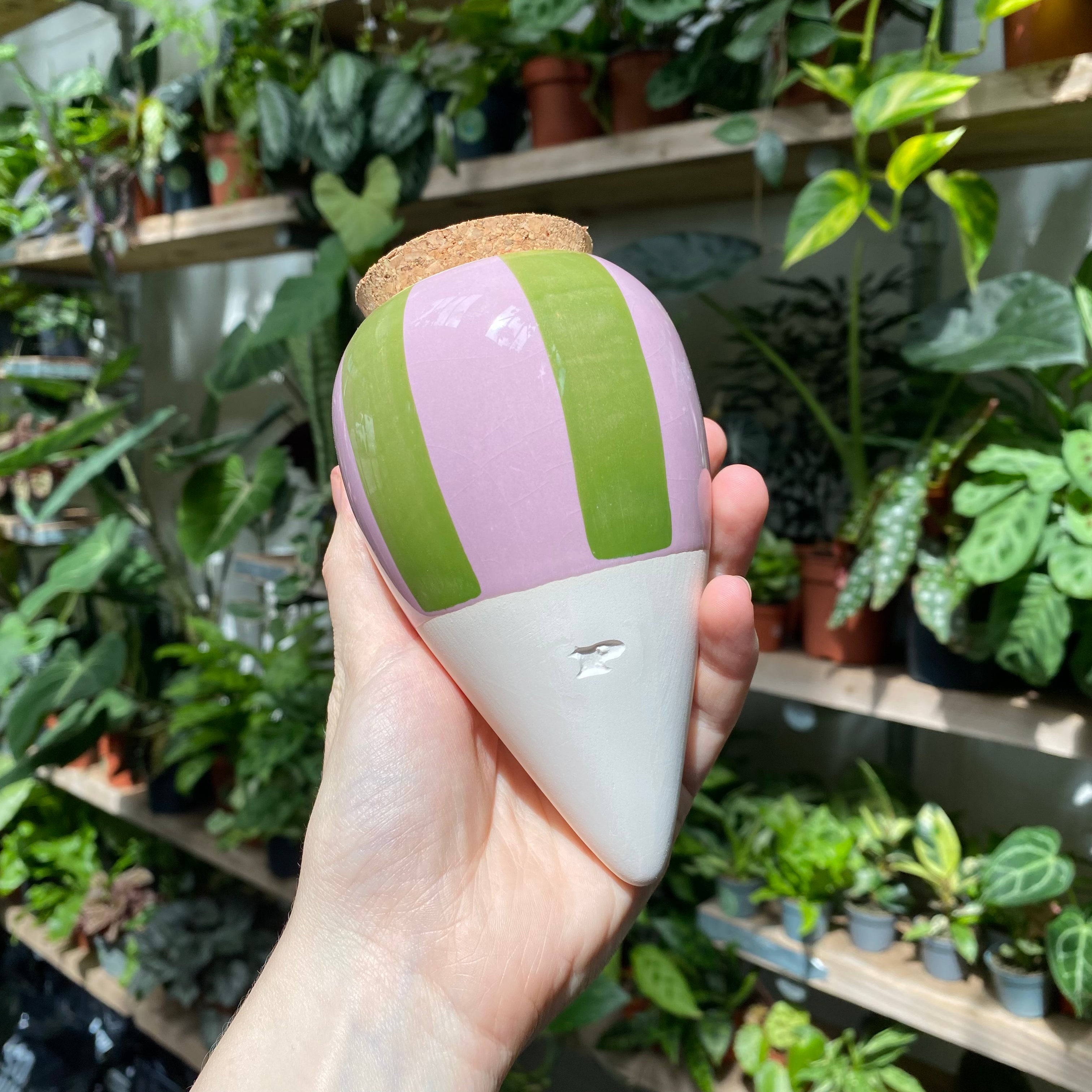 Olla - Self Watering System