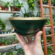 Green Bowl Planter & Saucer
