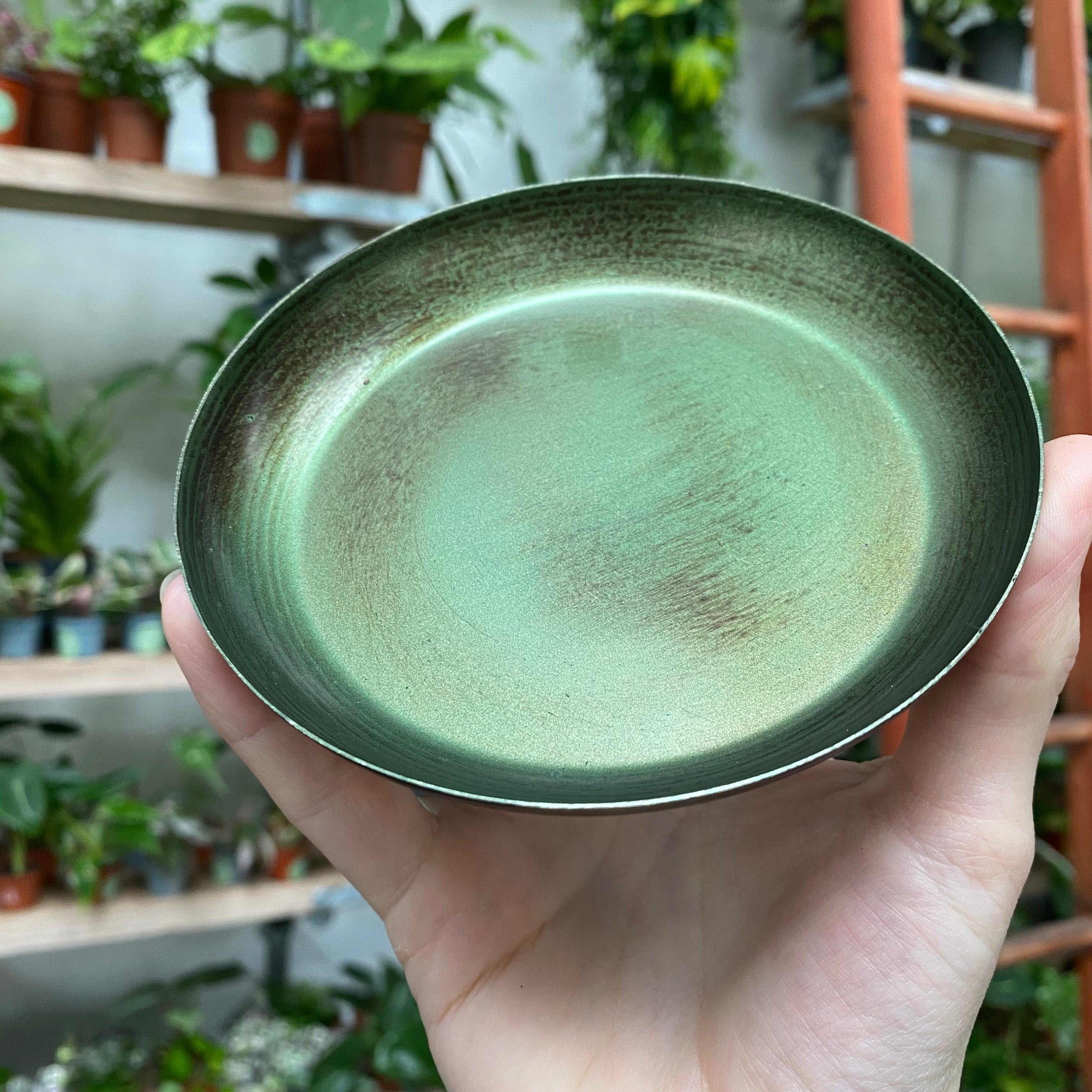 Green Bowl Planter & Saucer