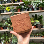 La Terra Atelier Terracotta Pots