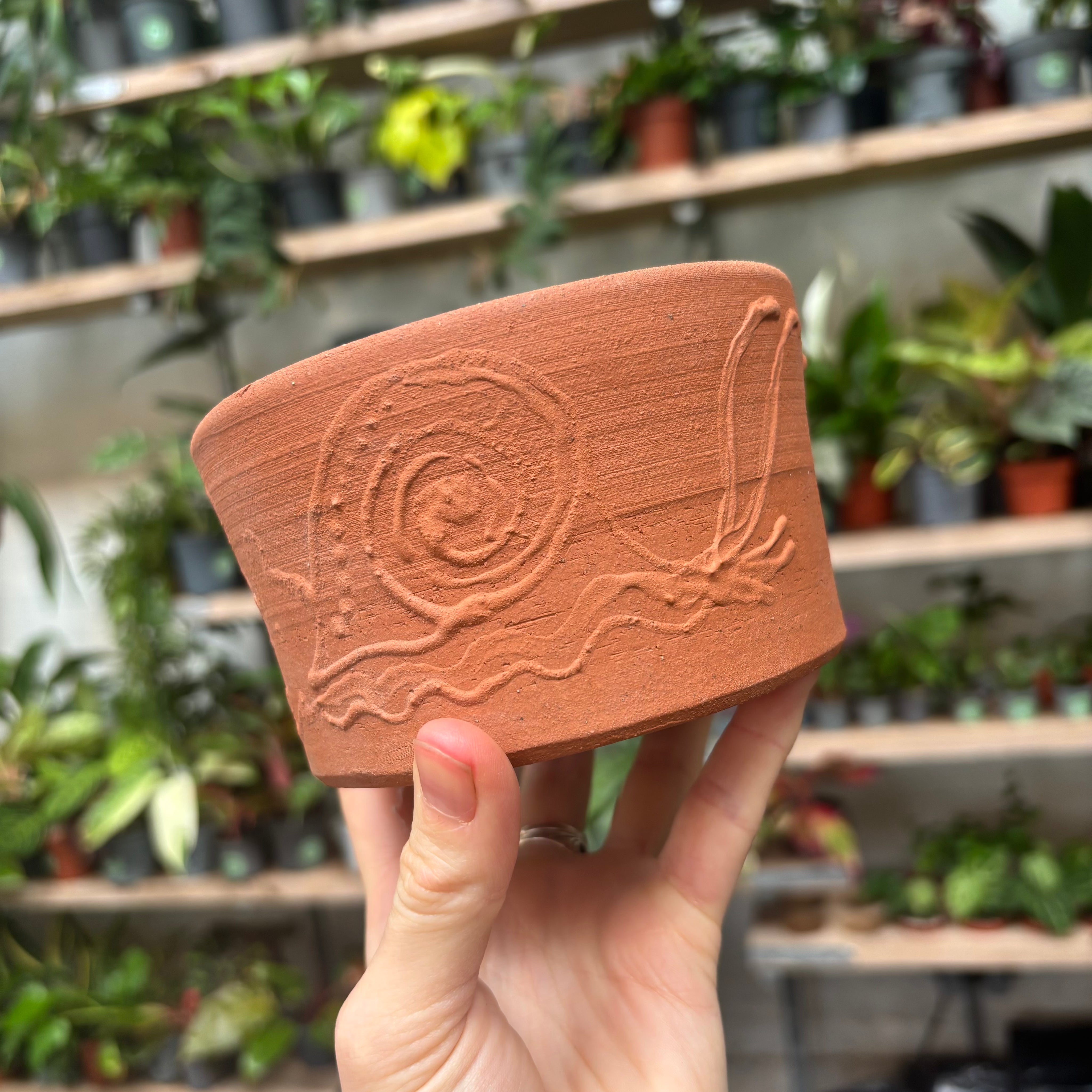 La Terra Atelier Terracotta Pots