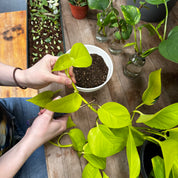 Intro to Propagation