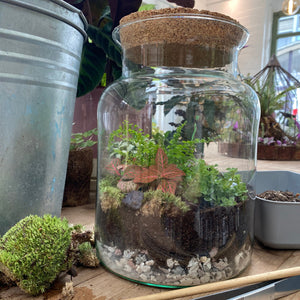 Corked Jar Terrarium Workshop