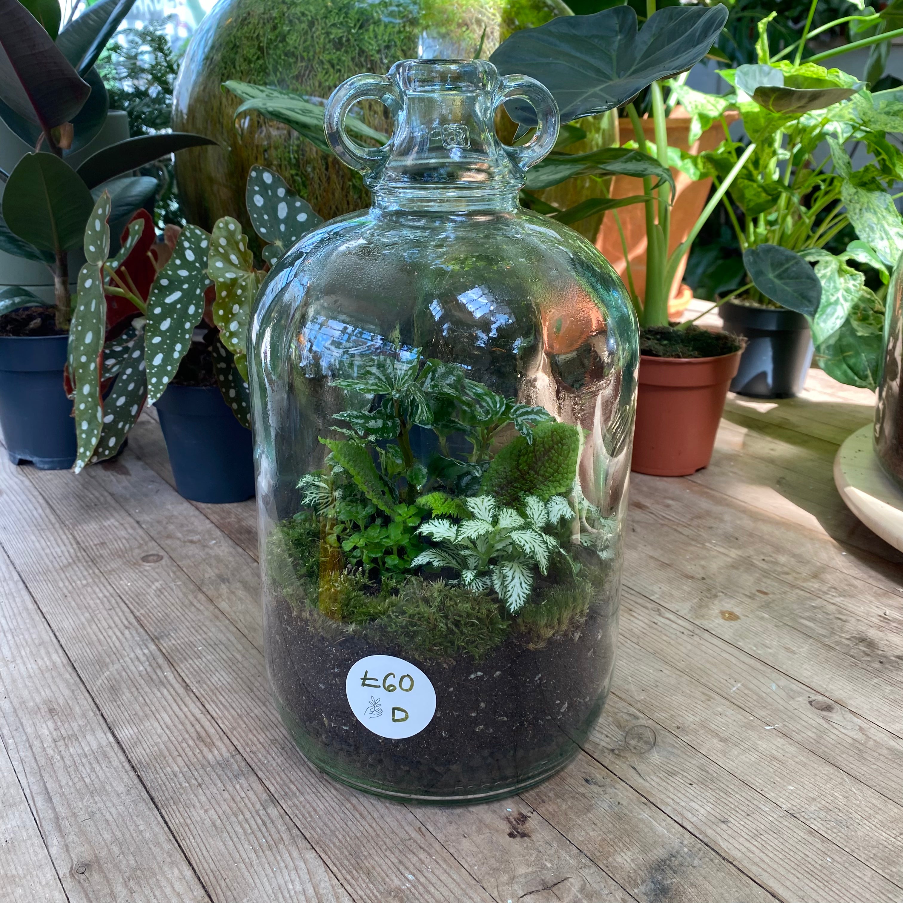 Terrariums