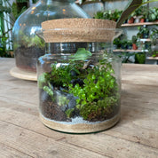 Terrariums