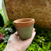 Terracotta Pots - Antiqued