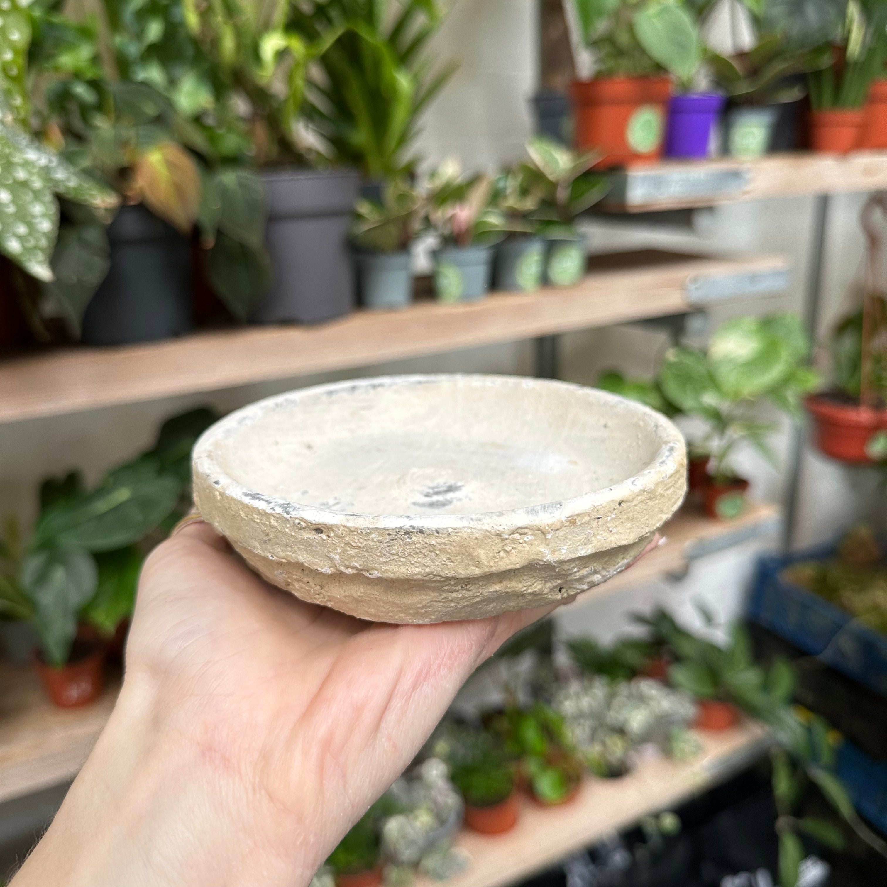 Terracotta Saucers - Antiqued