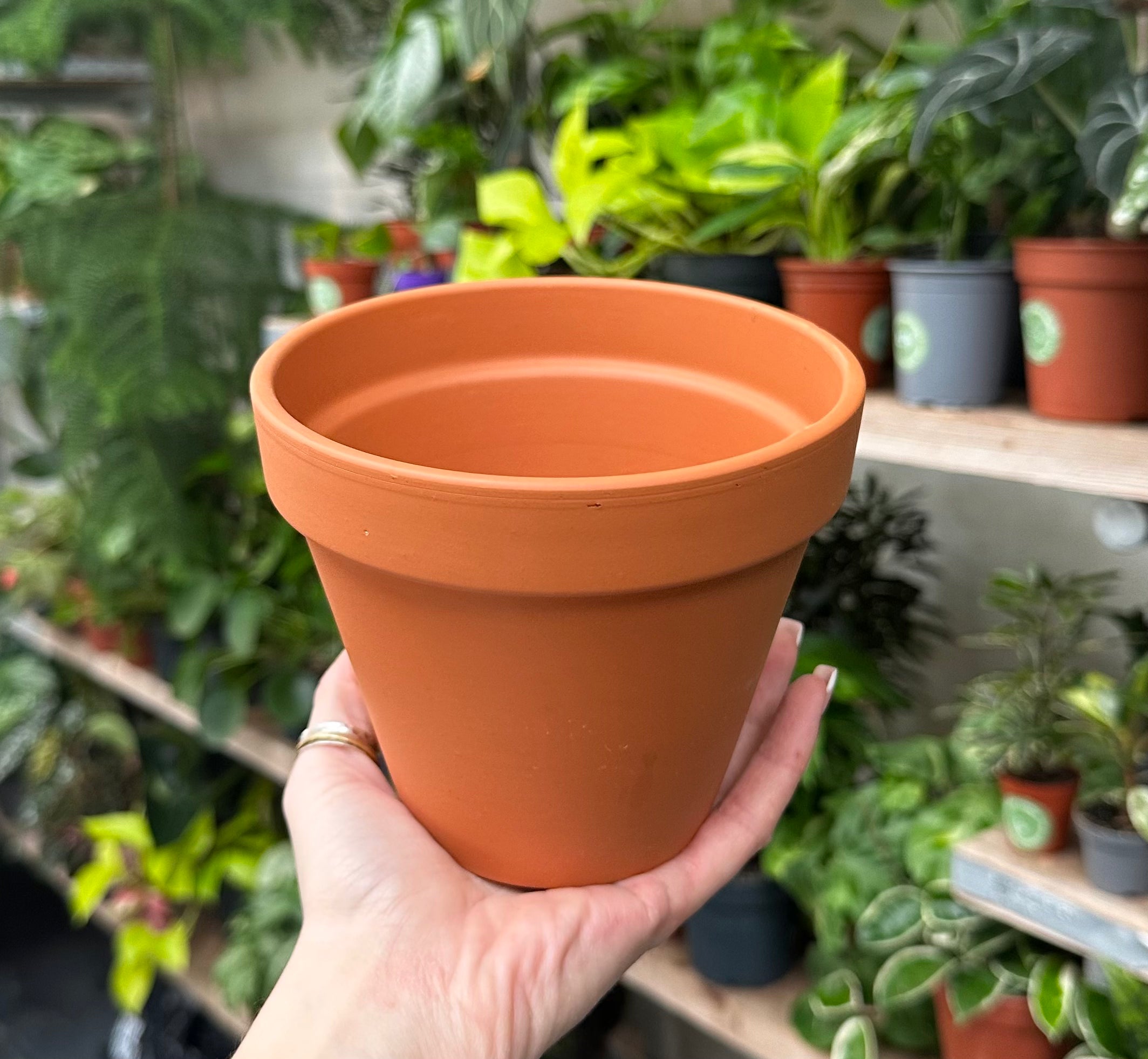 Terracotta Pots - Plain