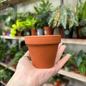 Terracotta Pots - Plain
