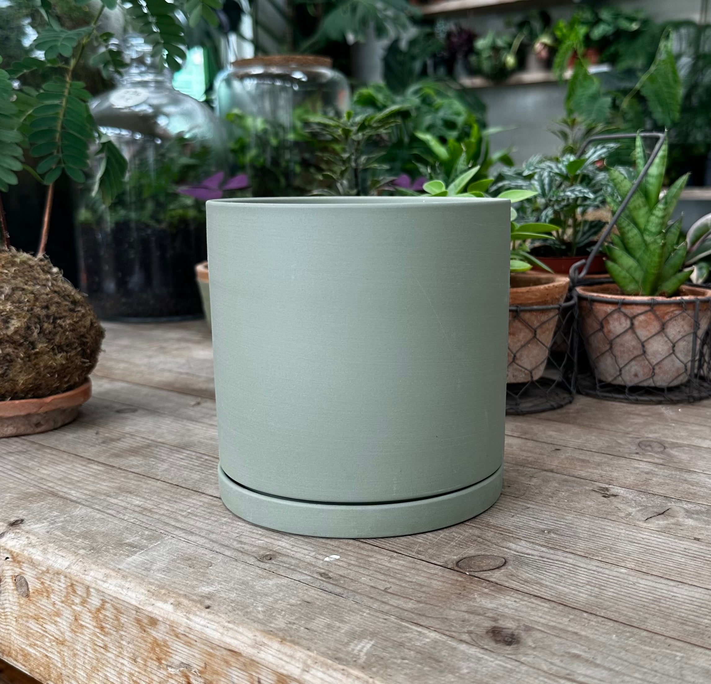Column Deco Pot