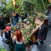 People trading plants and cuttings at a plant swap