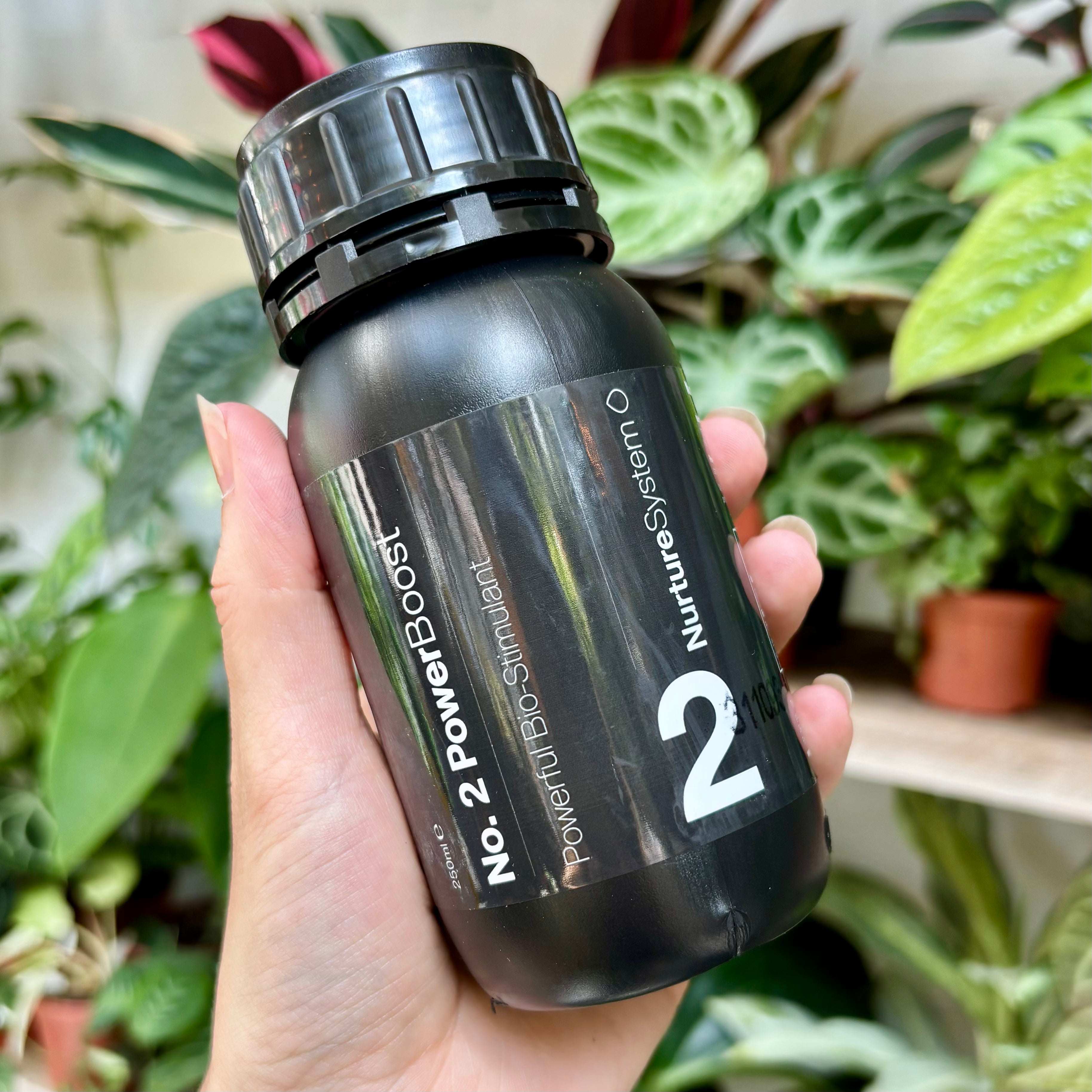 Nurture System No.2 PowerBoost in 250ml at The Watered Garden