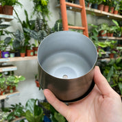 Pewter Plant Pot & Saucer