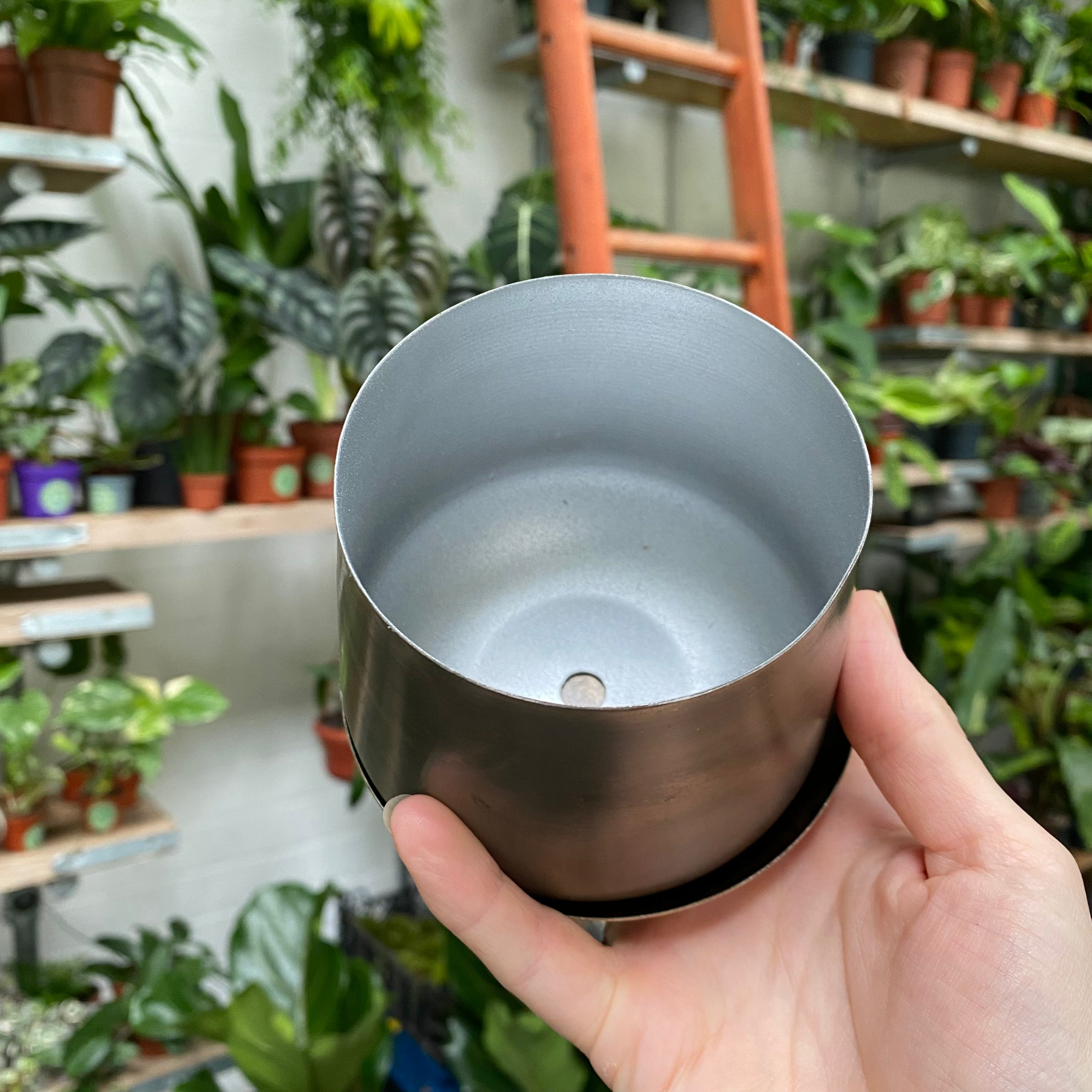 Pewter_Plant_Pot_Saucer_002.heic