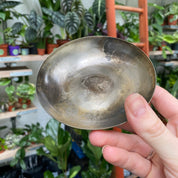 Pewter Plant Pot & Saucer