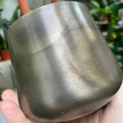 Pewter Plant Pot & Saucer