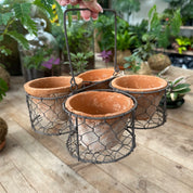 Terracotta Pots & Basket