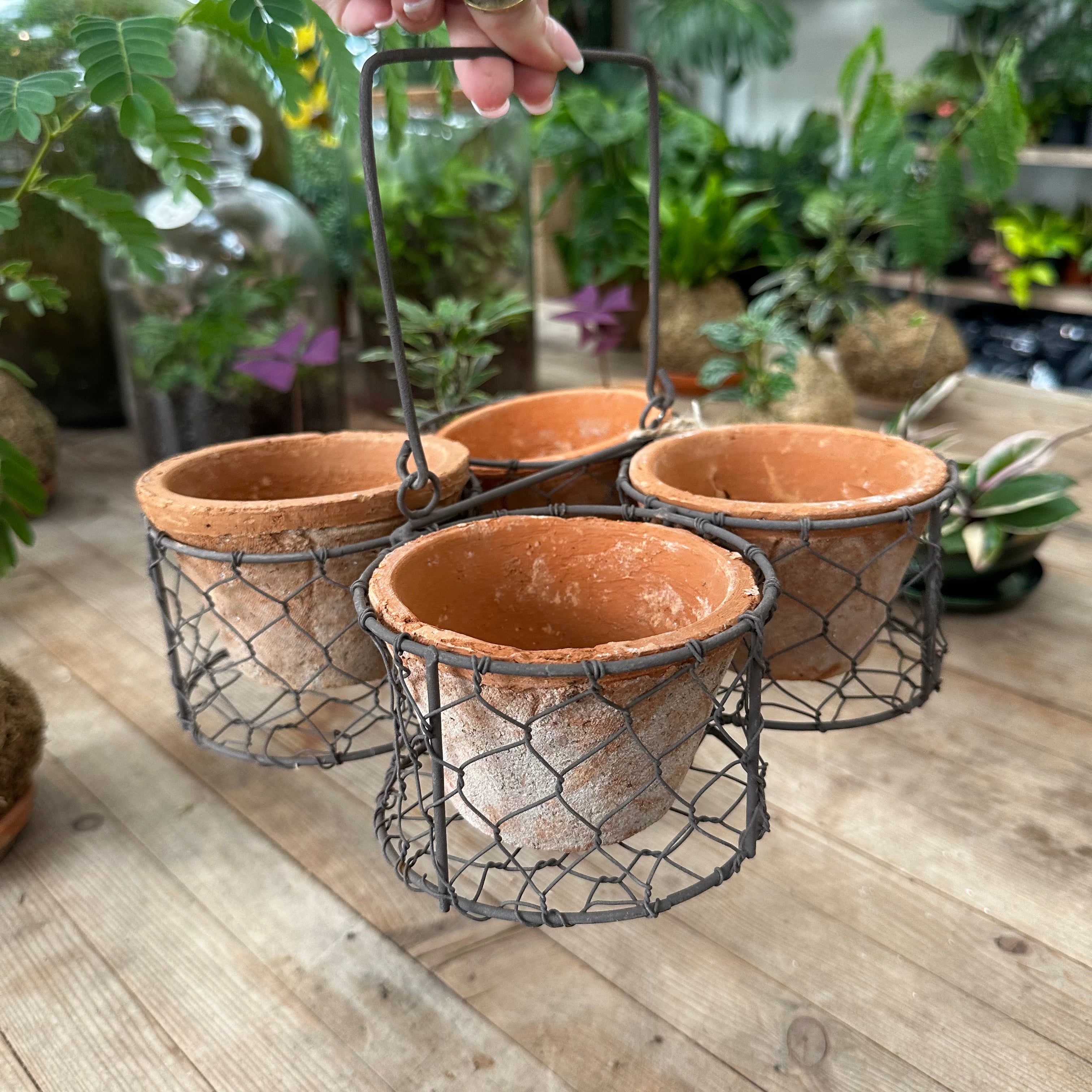 Terracotta_Pots_Basket_001.heic