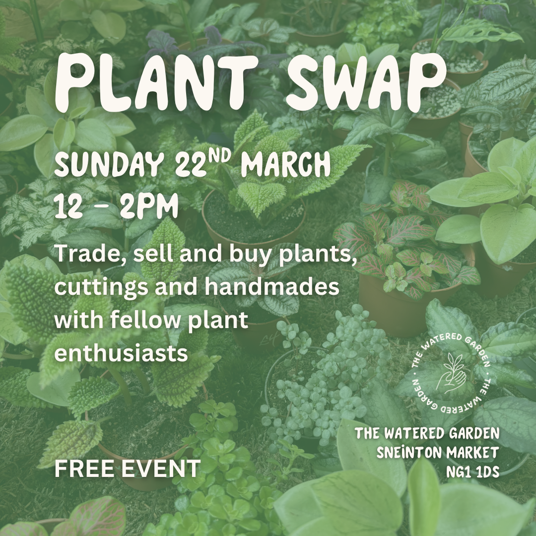 Trade_sell_buyplants_cuttingsandhandmadeswithfellowplantenthusiasts2.png