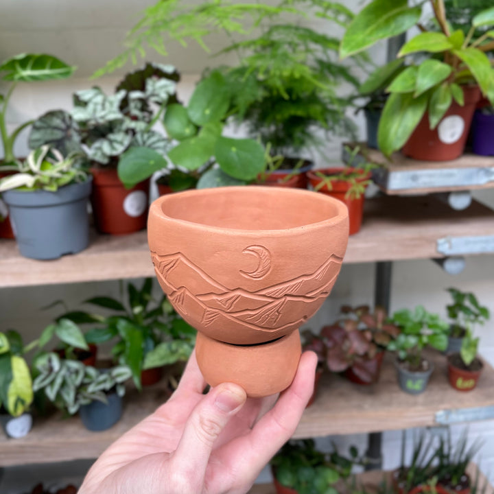 A hand holds a terracotta planter with an etched mountain and moon design, showcased against a blurred backdrop of diverse potted plants on shelves.