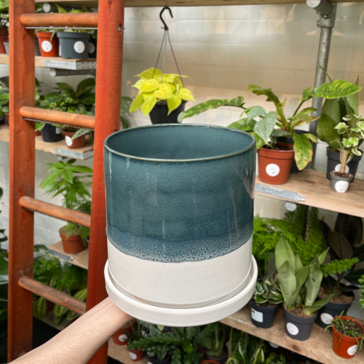 A hand presents a ceramic pot with a rich teal upper half that seamlessly blends into a speckled grey band, followed by a clean white base, with a vibrant selection of potted plants in the background.