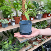A hand delicately supports a textured navy blue ceramic pot with a glossy finish, complemented by a botanical array of houseplants on a wooden shelf in the background.