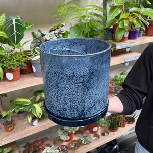 A hand delicately supports a textured navy blue ceramic pot with a glossy finish, complemented by a botanical array of houseplants on a wooden shelf in the background.