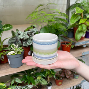 A hand holds a small ceramic pot with horizontal bands of colour—creamy white at the top, followed by sky blue, soft green, and ending in a sandy beige at the base—set against a backdrop of varied indoor plants.