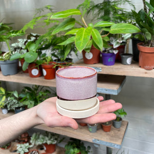 A hand carefully displays a ceramic pot with a smooth gradient from a deep burgundy base to a dusty rose top, encircled by a creamy rim, against a background filled with a variety of potted indoor plants.