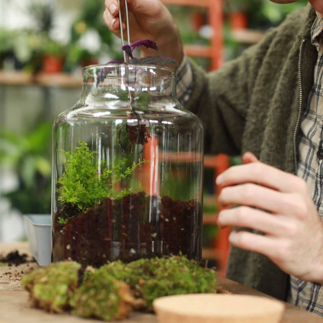 person building a corked jar terrarium