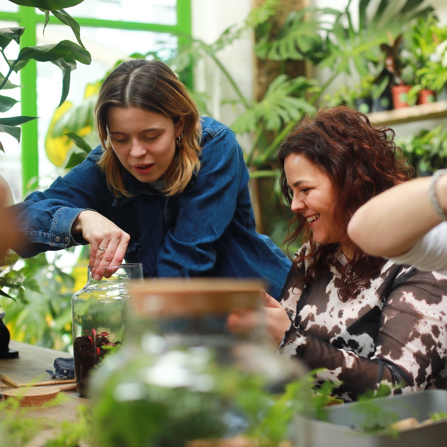 person building a corked jar terrarium