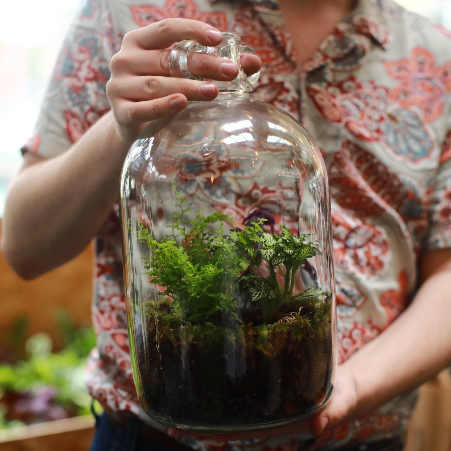 man holding a completed demijohn terrarium