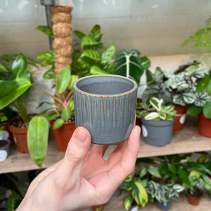 A hand displays a small grey-blue ceramic pot with vertical ridges and a golden rim, complemented by an assortment of leafy houseplants in the background.