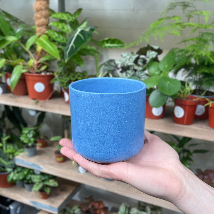 A hand is displayed holding a vibrant sky blue ceramic pot with a smooth matte finish, set against a background of assorted greenery in a plant nursery.