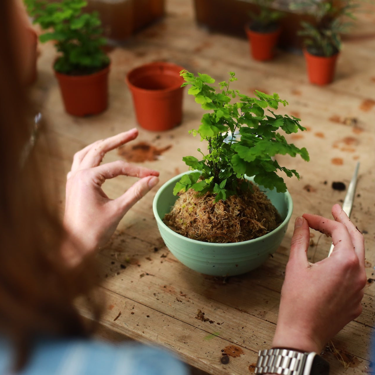 person making a kokedama