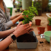 person making a kokedama