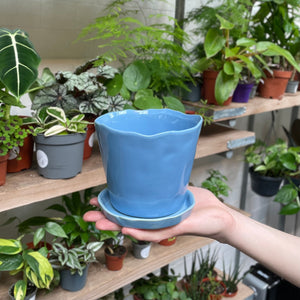 A hand carefully displays a flared, wavy-edged ceramic pot in a soft blue color, highlighted against a backdrop of lush houseplants on shelving at a garden centre.