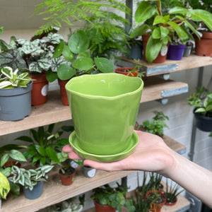 A hand carefully displays a flared, wavy-edged ceramic pot in a soft green colour, highlighted against a backdrop of lush houseplants on shelving at a garden centre.