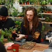 person making a mounted staghorn fern