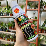 Plant Invigorator and Bug Killer