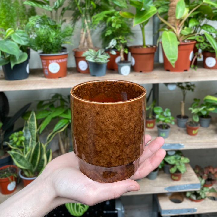 A hand presenting a rustic brown glazed ceramic pot with a rich, textured finish, poised before a background of assorted green houseplants on wooden shelving.