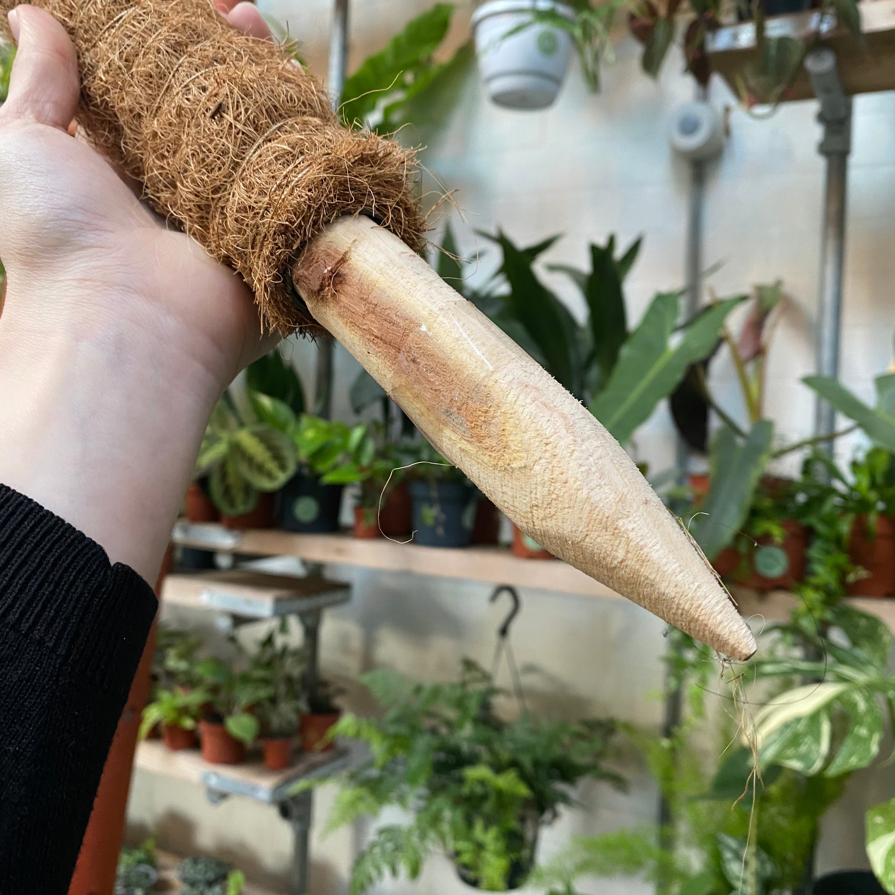 Stackable Moss Pole