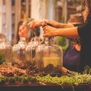 Demijohn Terrarium Workshop